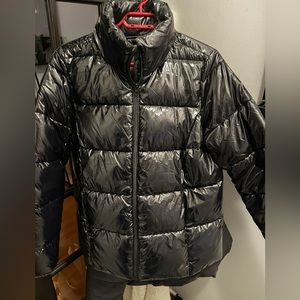 Nice black lustred coat